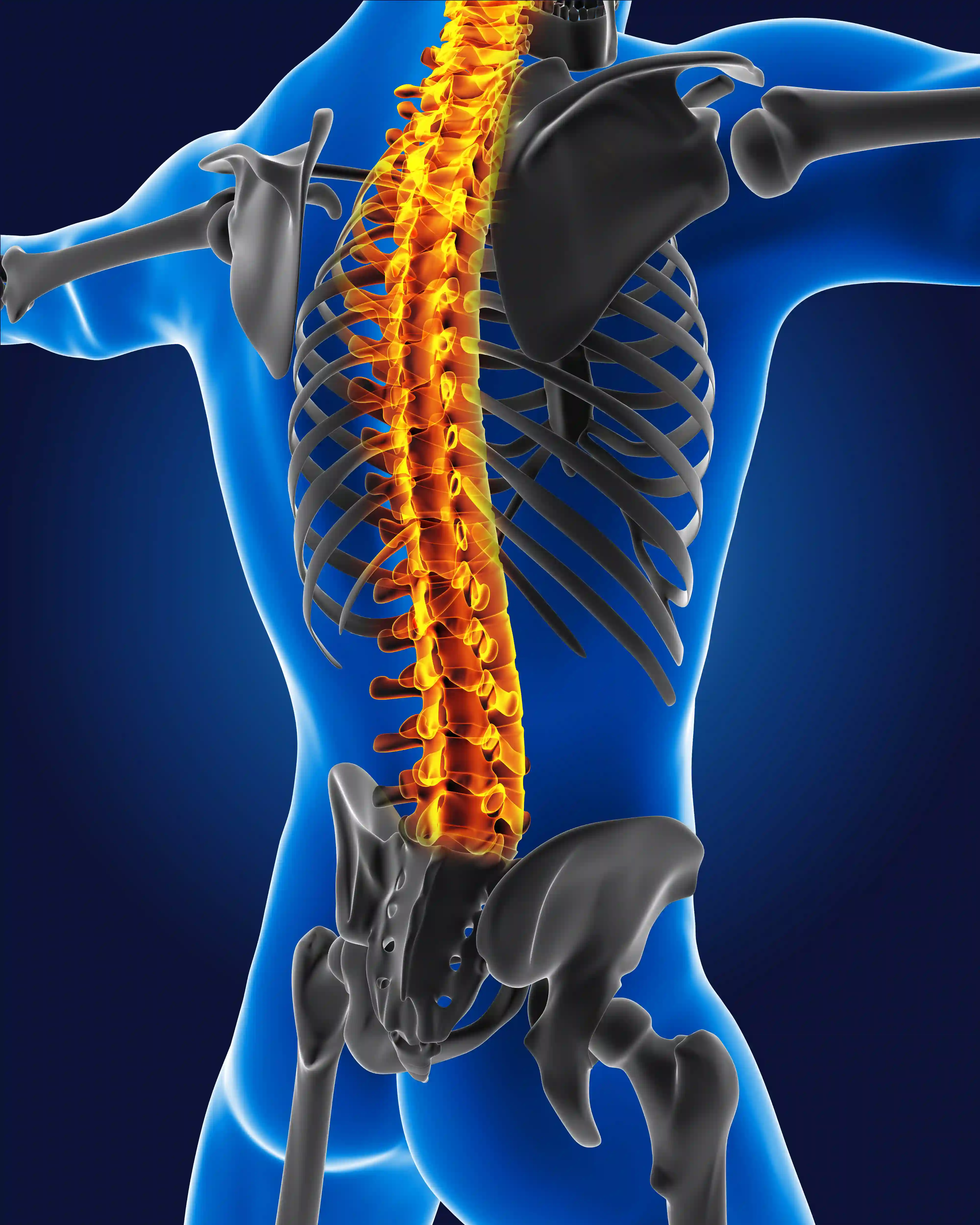 Spine & Back Care